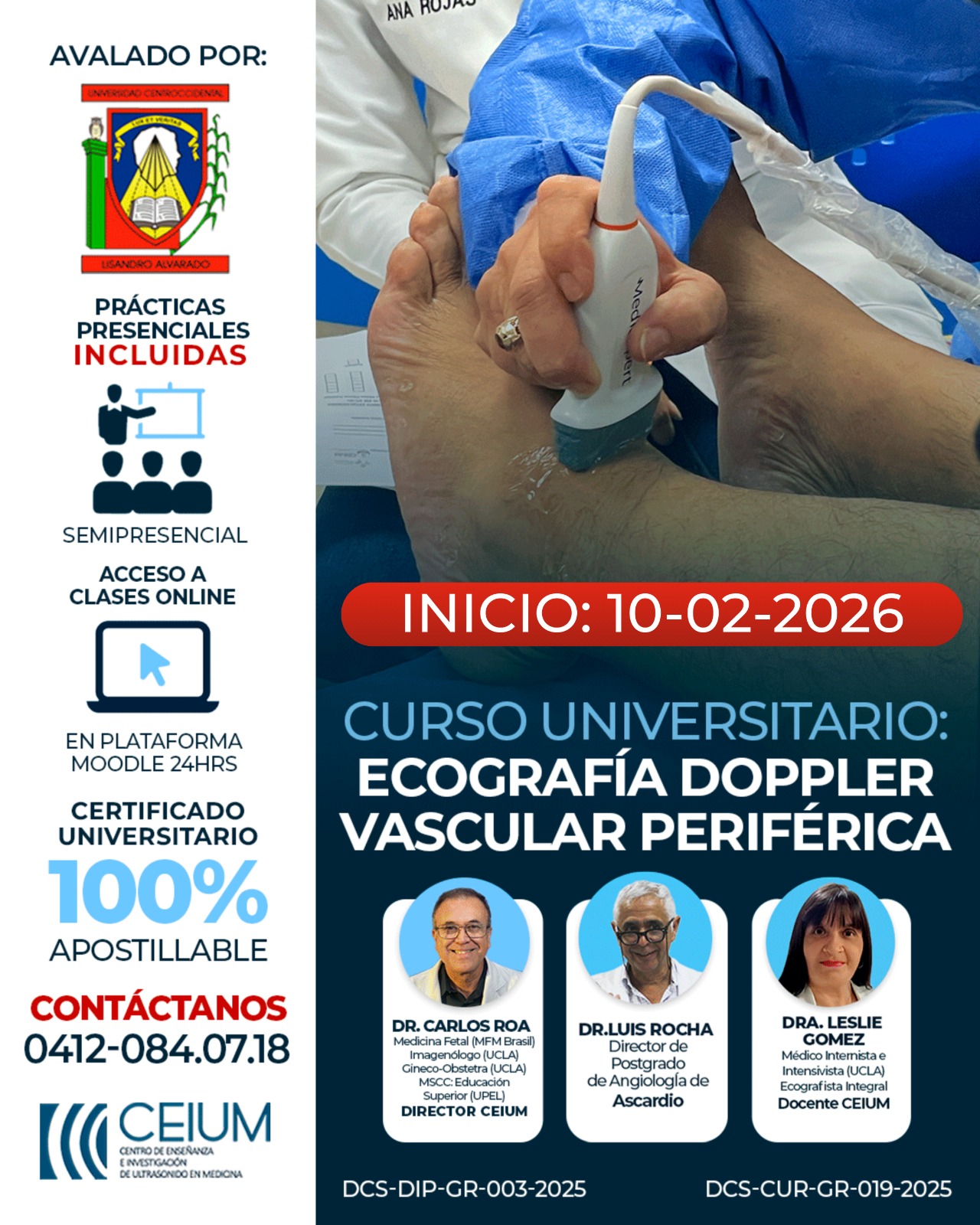 Curso Universitario Ecografía  Doppler Vascular periférica